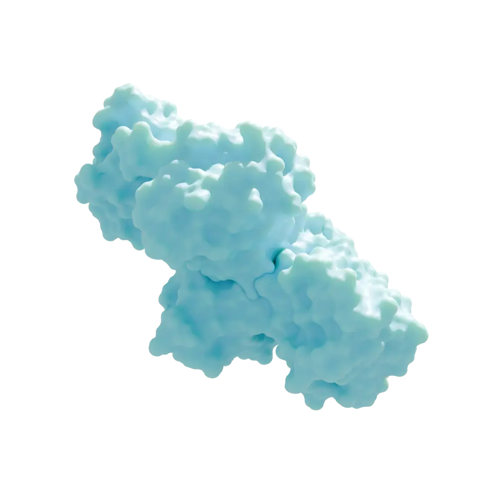 Glucozyme Enzyme Structure